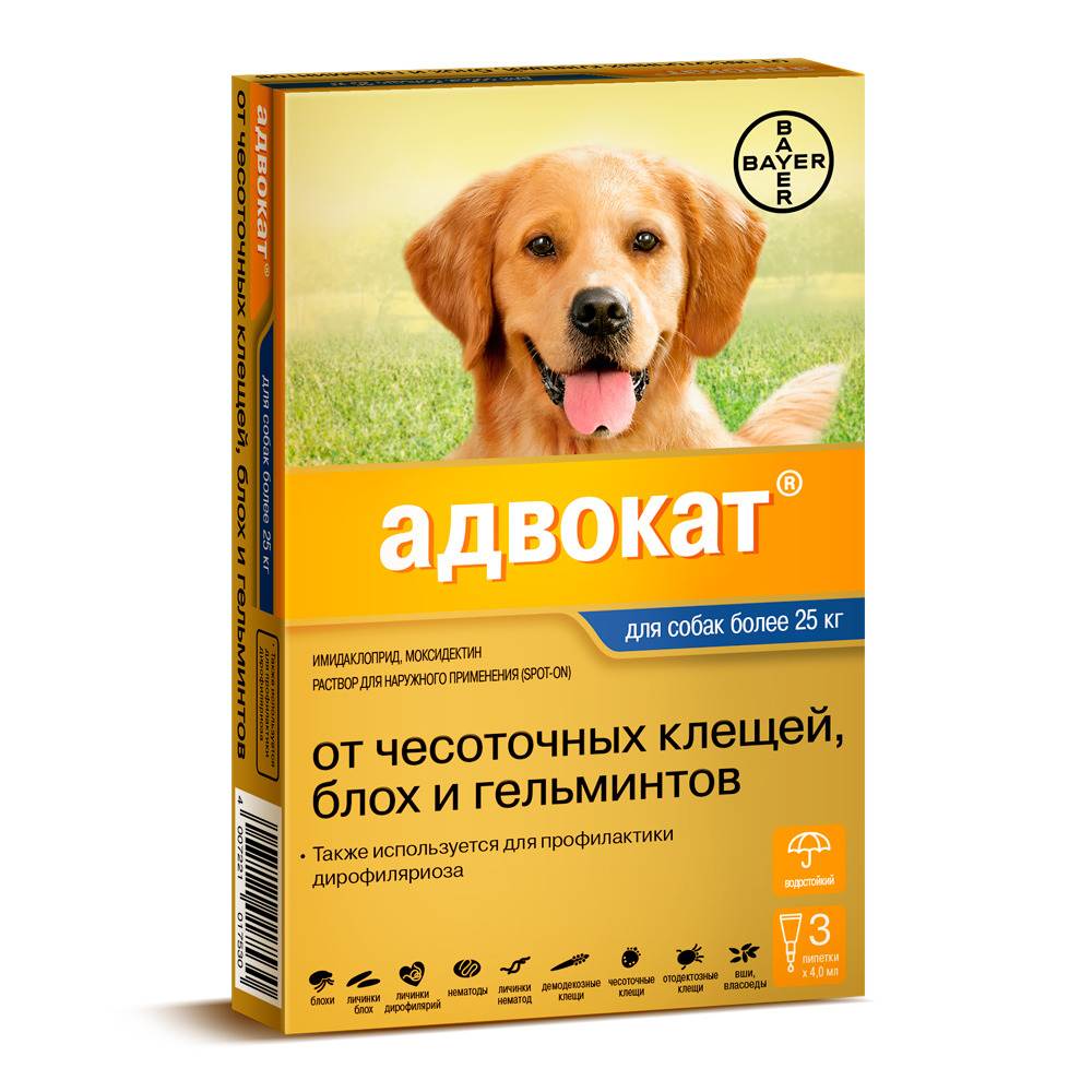 Капли от блох и клещей для собак на холку: какие лучше, принцип действия - kotiko.ru