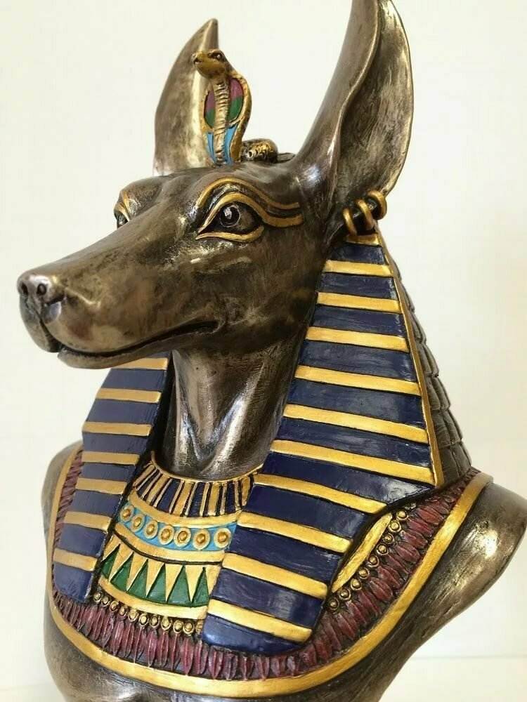 Фараонова собака: история, характер, особенности содержание (+ фото) | ваши питомцы