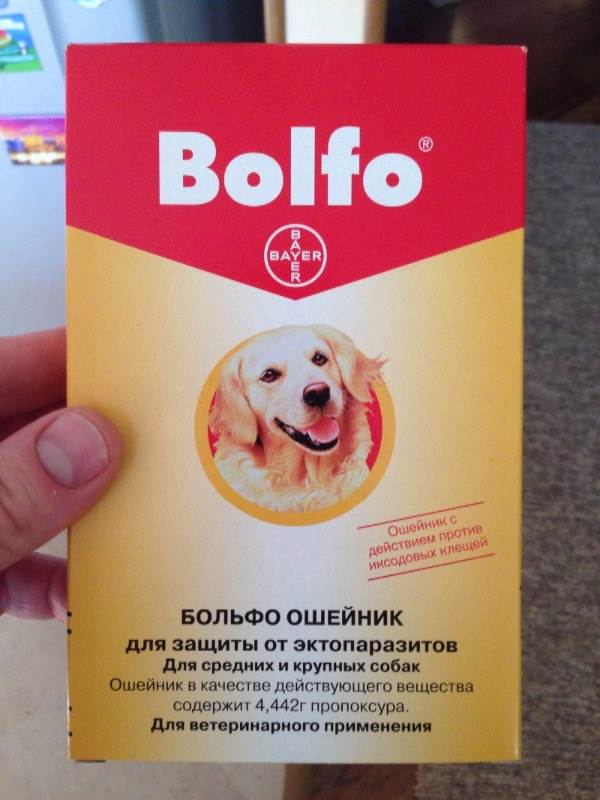 Описание спрея больфо от блох: инструкция по применению, состав и препараты-аналоги для собак