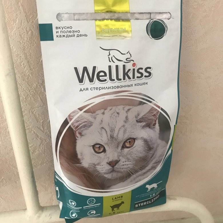 Корм для кошек wellkiss: отзывы, разбор состава, цена