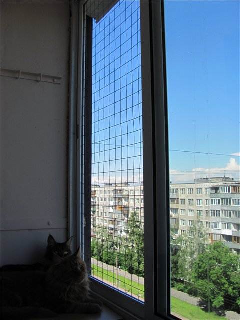 Антикошка на окна: решетки для деревянных и пластиковых рам, особенности | дневники ремонта obustroeno.club