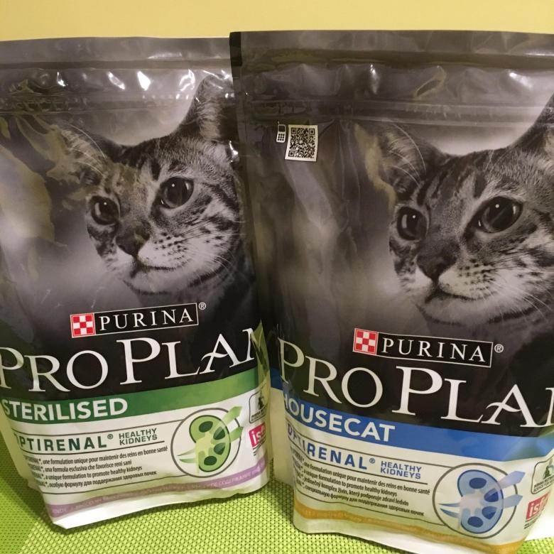 Отзывы о корме pro plan (про план) для кошек