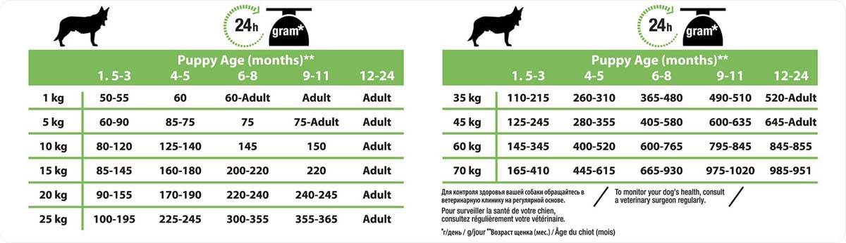 Нормы еды для собаки, как определить потребность в пище | блог ветклиники "беланта"