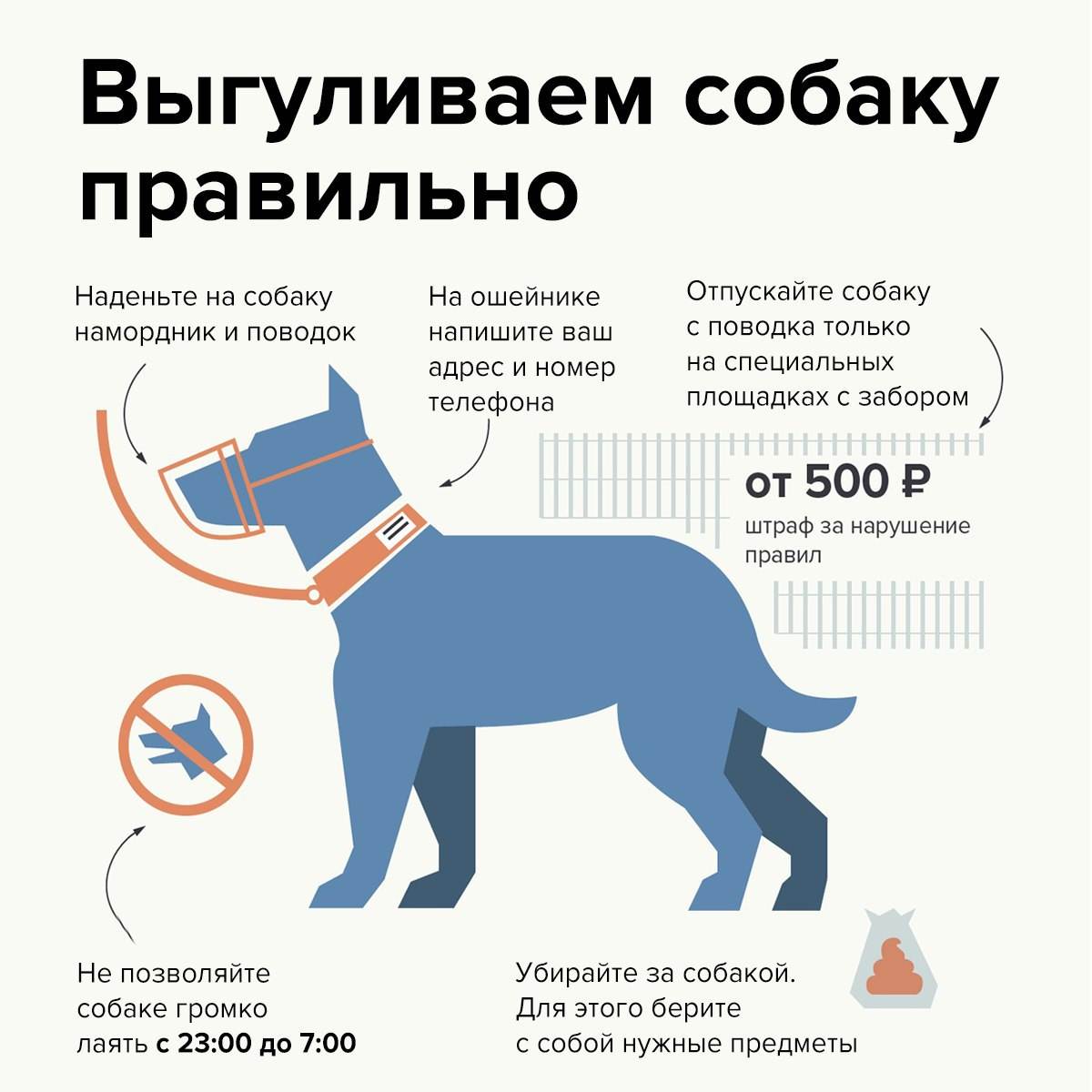 Правила и закон о выгуле собак 2020: намордники, поводки и их отсутствие, где можно гулять и ответственность за нарушение