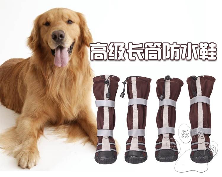 Делаем ботинки для собак своими руками: обзор пошаговых мастер-классов