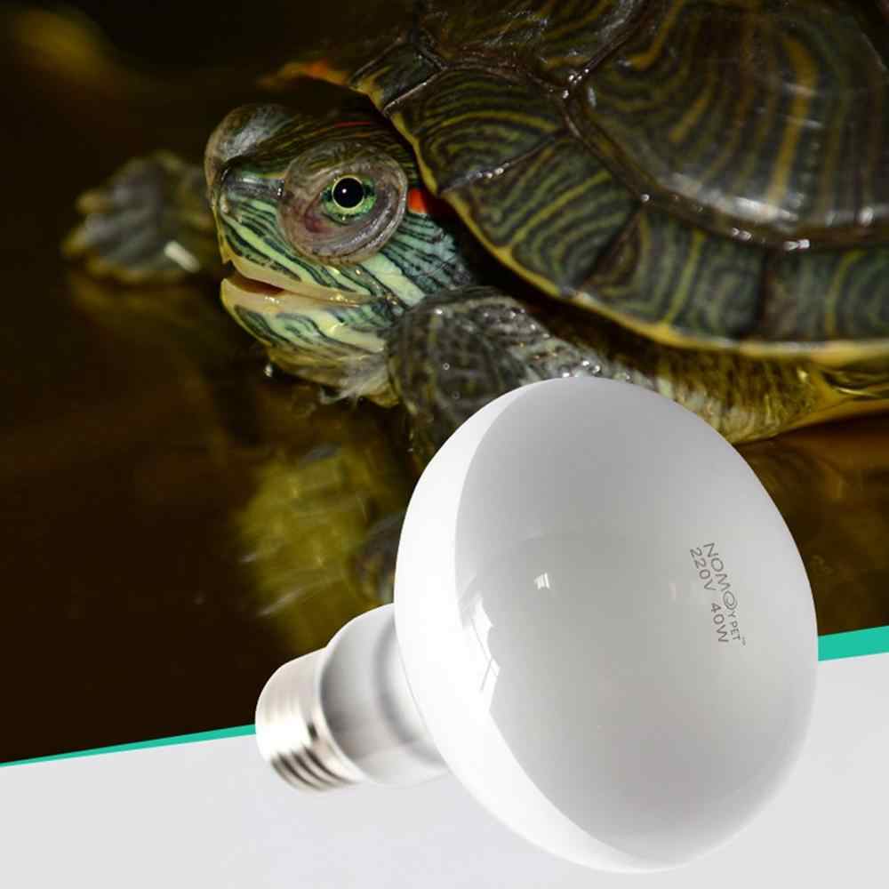 Освещение для красноухих черепах - ответы и советы на твои вопросы