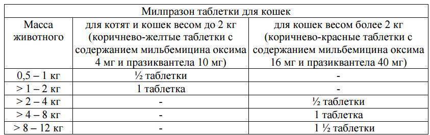 Милпразон для кошек: инструкция по применению, направленность действия, эффективность