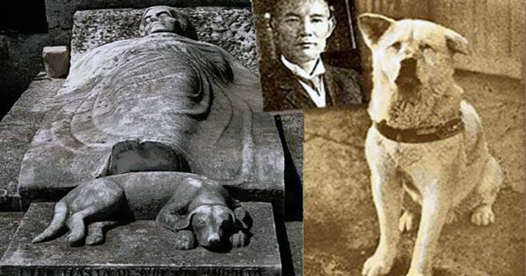 История хатико – самого преданного в мире пса (7 фото)