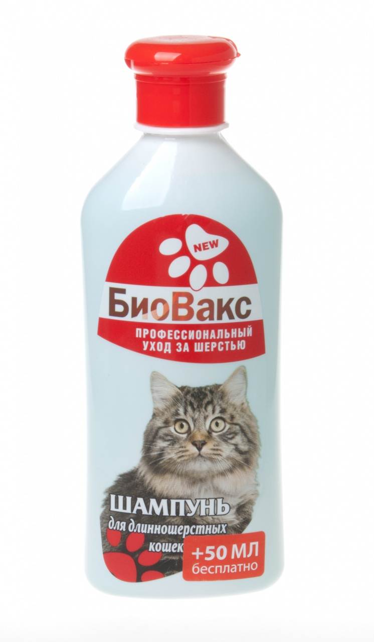 Шампунь от блох для кошек: какой лучше выбрать, как действует противоблошиное моющее средство?