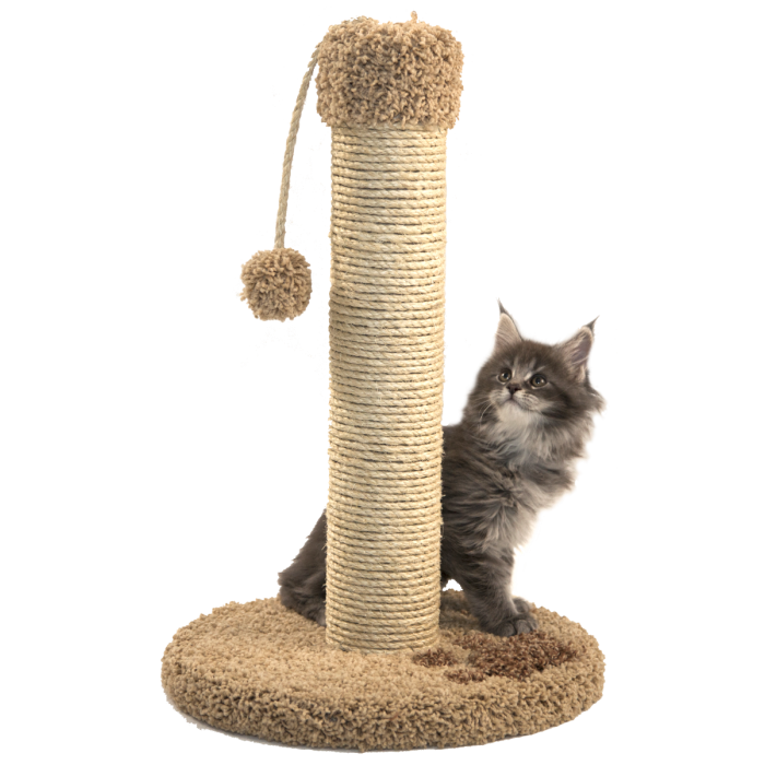 Как сделать когтеточку для кошки самостоятельно своими руками: идеи, фото, общие рекомендации, мастер-классы по изготовлению когтеточки настенной, когтеточки-столбика, когтеточки-домика, из гофрированного картона