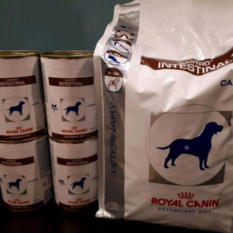 Royal canin gastro intestinal диета для кошек при нарушении пищеварения купить в минске с доставкой, цена