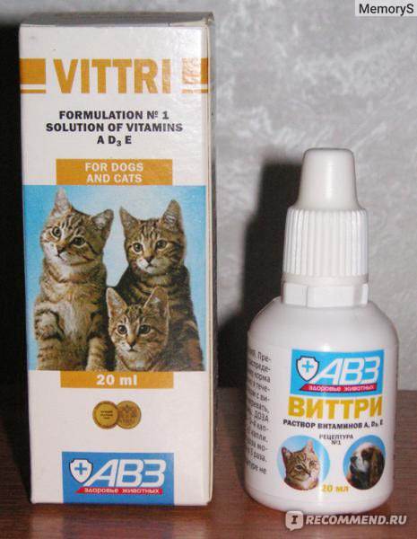Особенности комплексного витаминного препарата виттри-1 для кошек