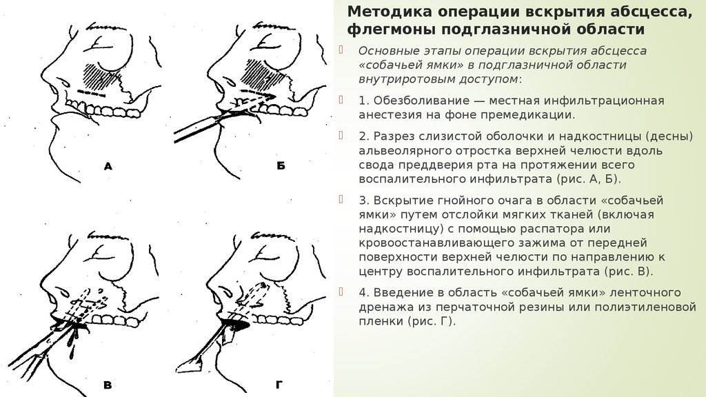 Абсцесс у собаки