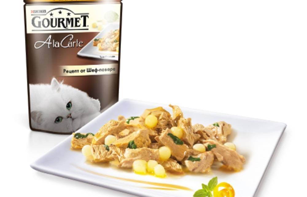 Обзор корма для кошек gourmet