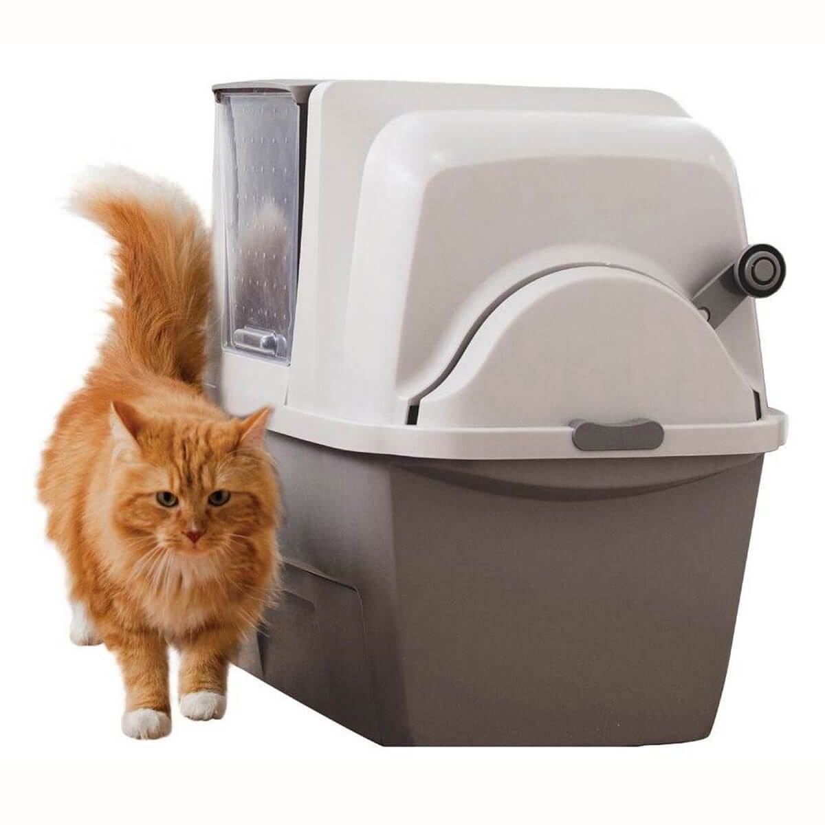Туалеты для кошек закрытые: выбираем комфорт для животного и чистоту для дома - kot-pes