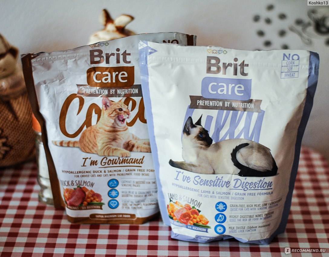 Корм brit для собак и кошек: описание, составляющие продукции брит, отзывы ветеринаров и владельцев
