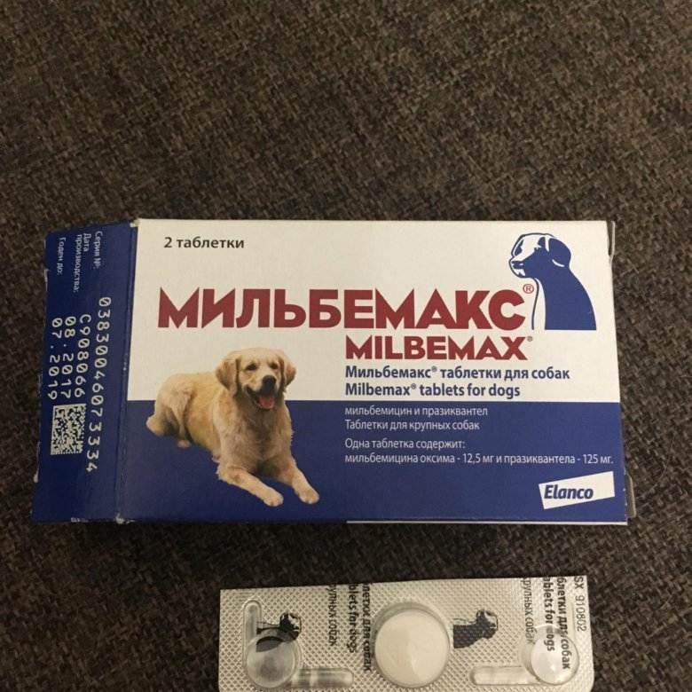 Как применять мильбемакс для кошек, его цена и отзывы