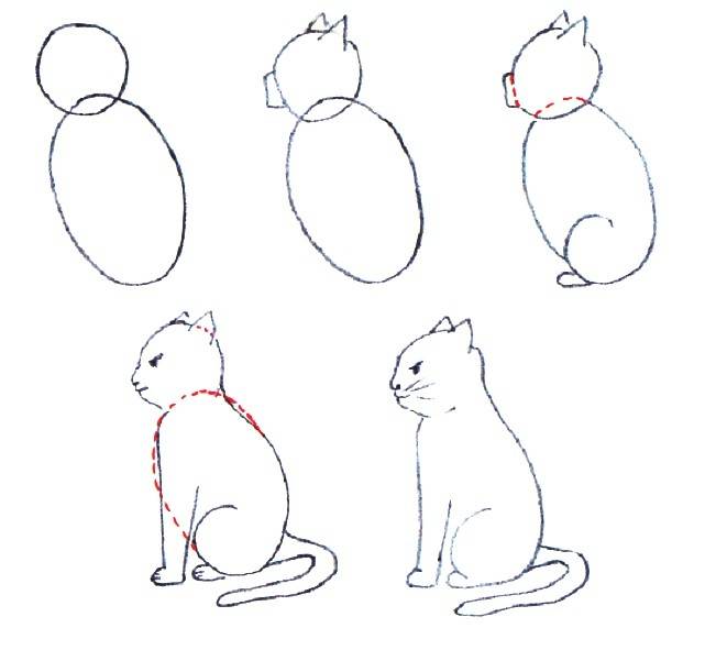 Как нарисовать кошку: пошаговая инструкция для детей. 110 фото и видео описание этапов рисования
