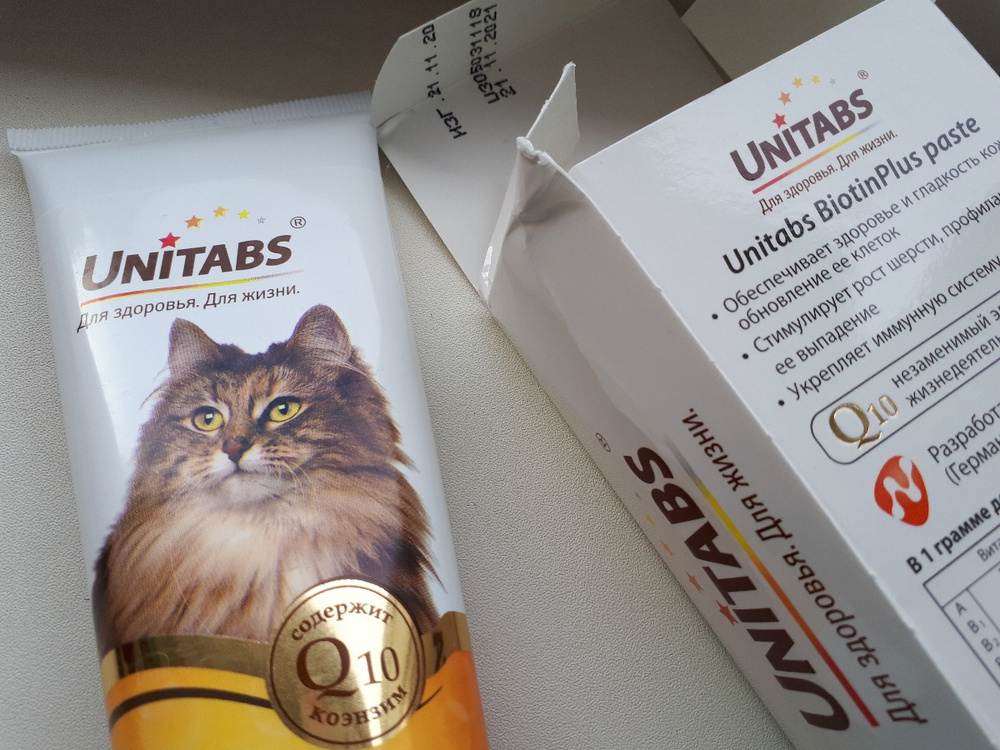 Витамины для старых кошек - обзор лучших препаратов с описанием