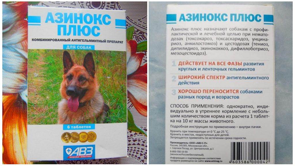 Азинокс плюс для собак: инструкция по применению