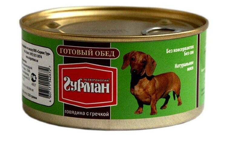 ᐉ обзор и отзывы корма для собак четвероногий гурман - ➡ motildazoo.ru