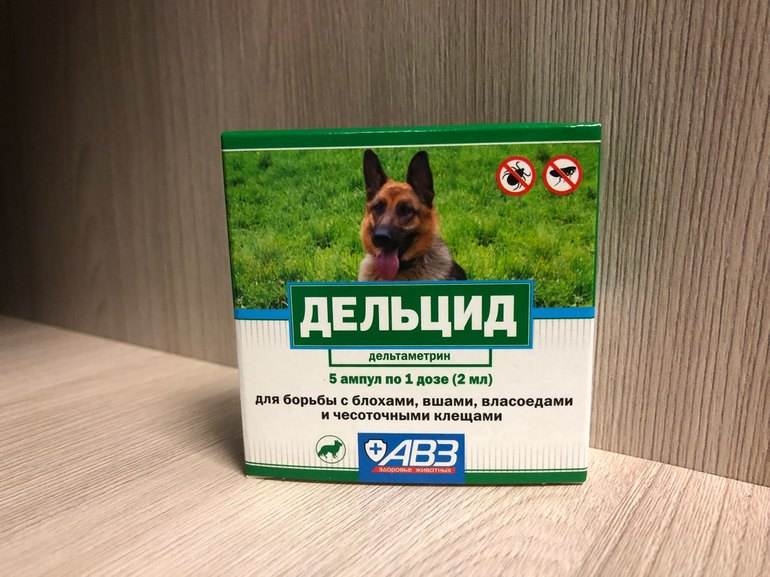 Дельцид (2 мл): инструкция по применению для кошек, состав, показания и противопоказания, аналоги, отзывы