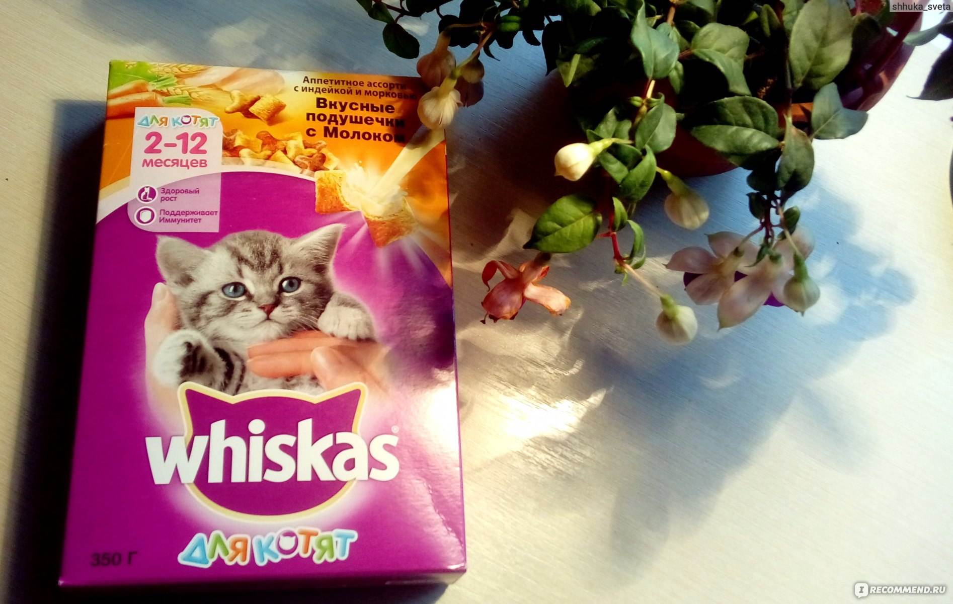 Корм для кошек вискас (whiskas): обзор, виды, состав, отзывы