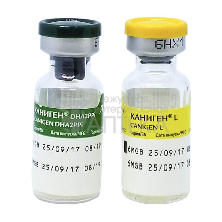 Вакцинация от ковид-19: какую вакцину выбрать спутникv или эпиваккорона?