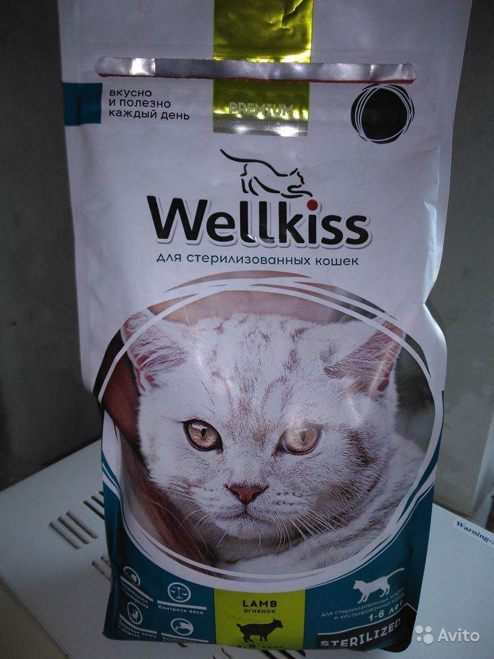 Корм для кошек wellkiss