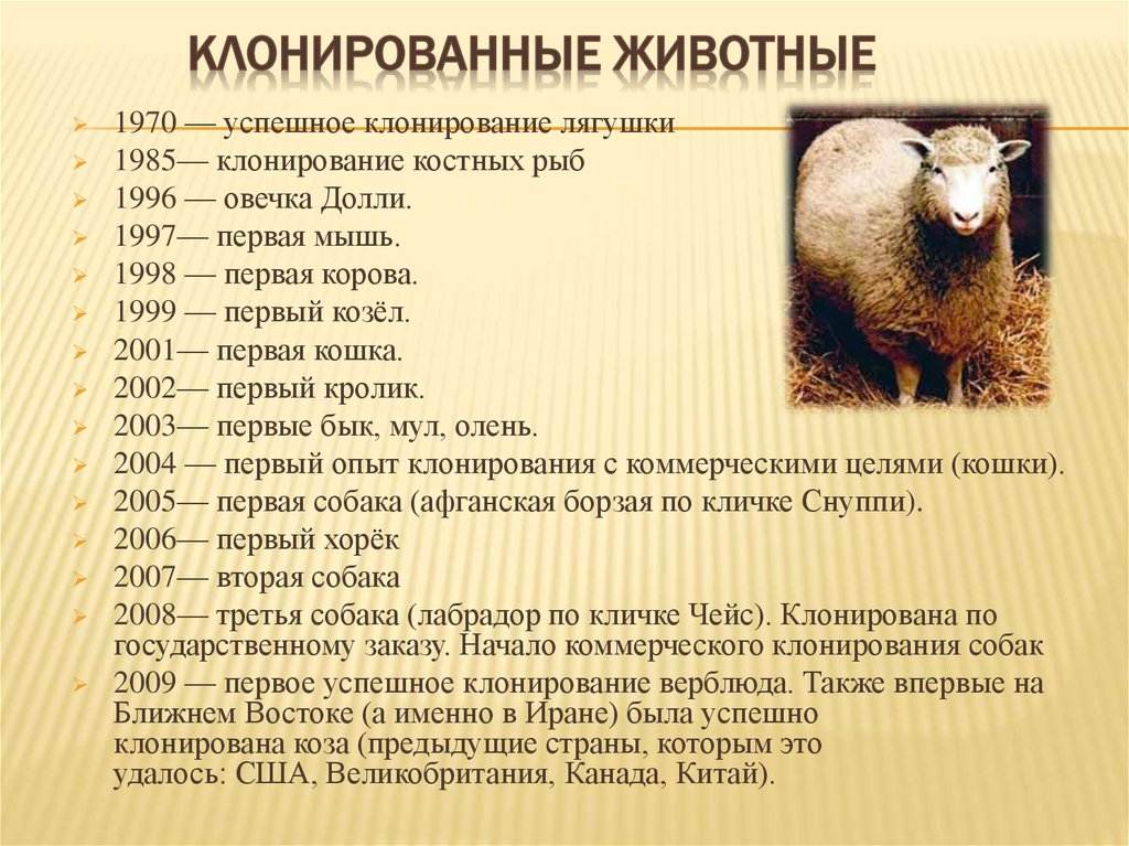 Клонирование вымерших животных: мечты и реальность - vechnayamolodost.ru