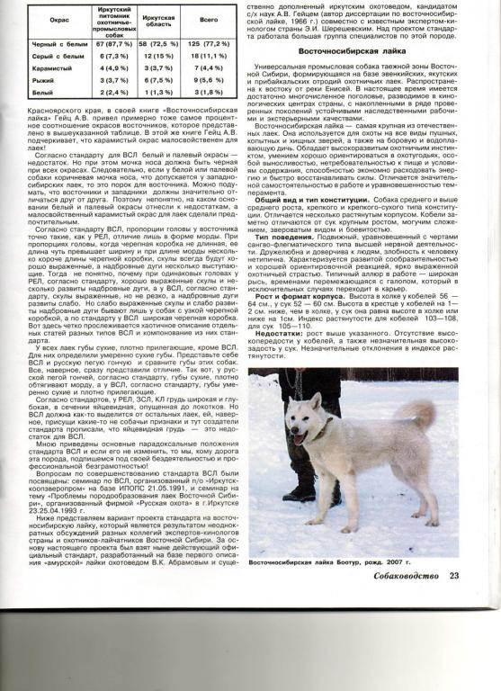 Якутская лайка: характеристика породы, фото и описание