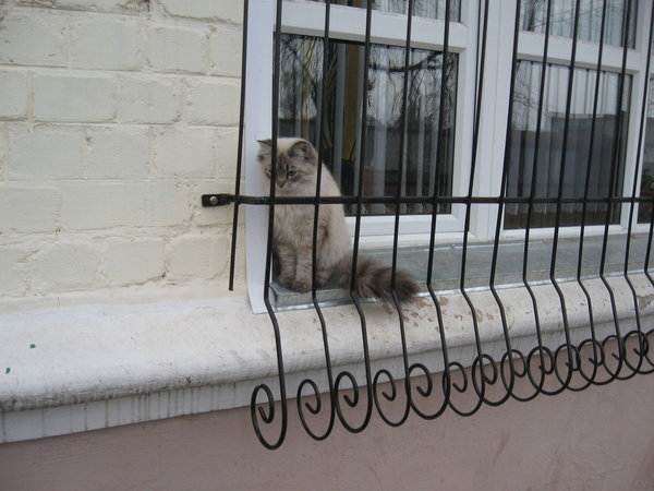 Решетки на окна от кошек или сетка антикошка. котоводство