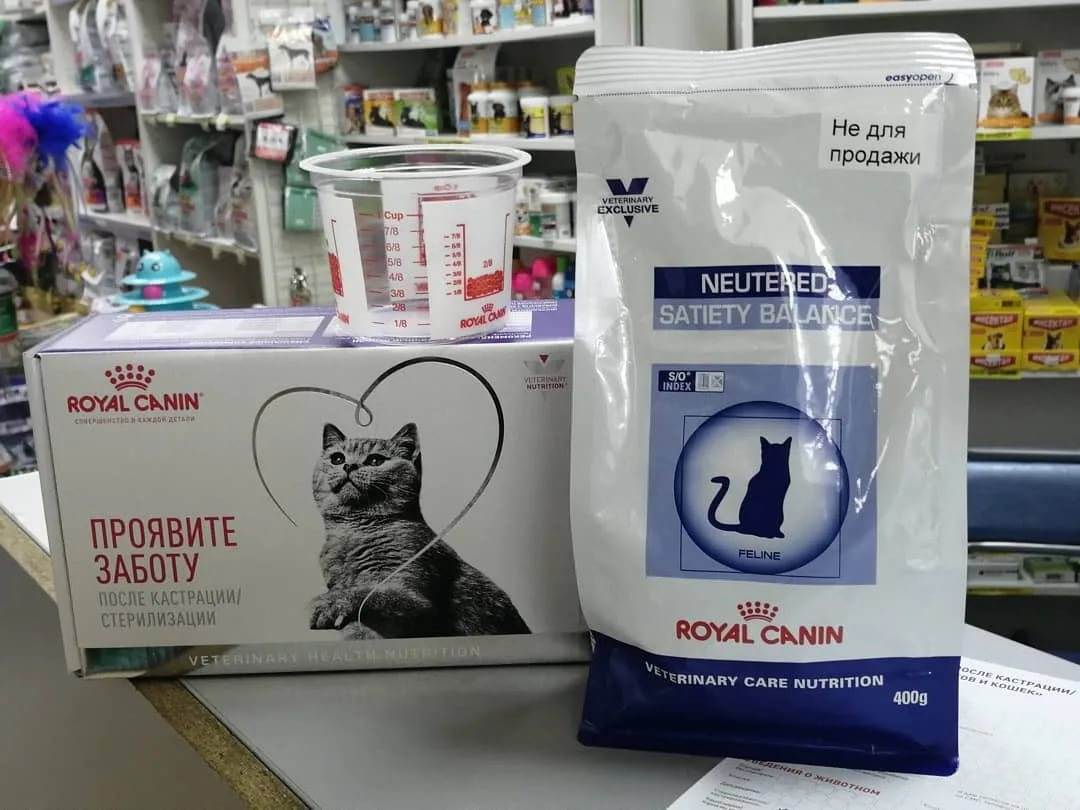 Корм для кошек royal canin: отзывы и разбор состава - петобзор