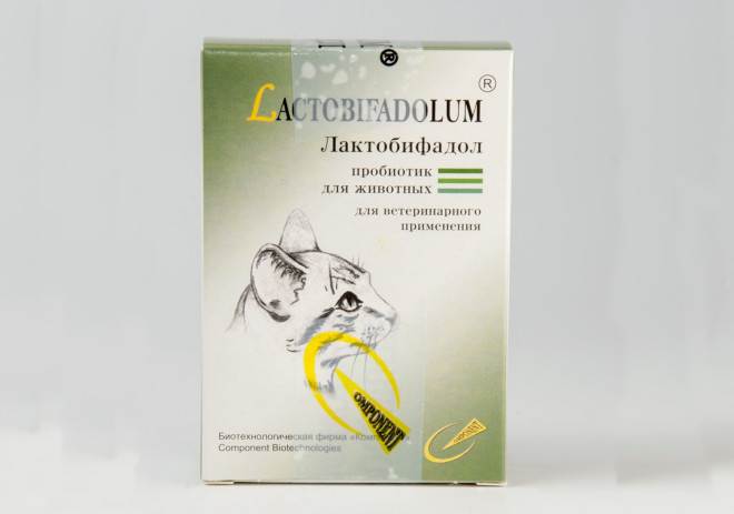 Пробиотик лактобифадол для кошек и котят