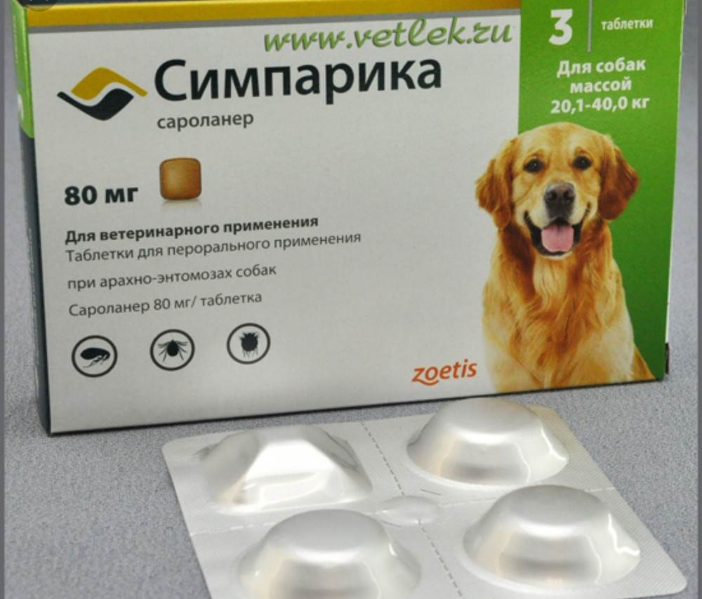 Симпарика (simparica), таблетки от блох и клещей для собак