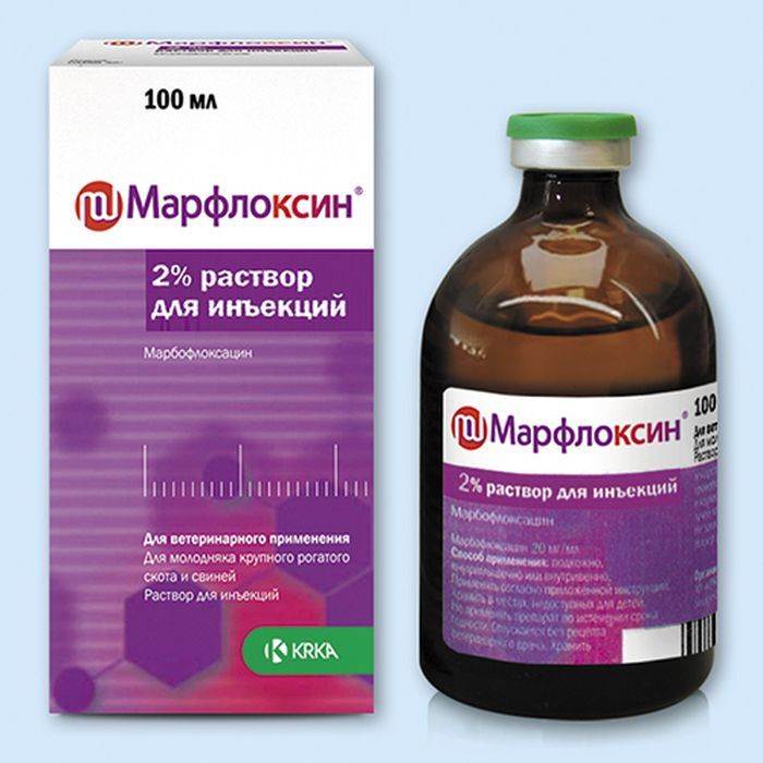 Марфлоксин для собак (инструкция к применению, фармакология, побочные эффекты, показания и противопоказания). можно ли собакам использовать марфлоксин?