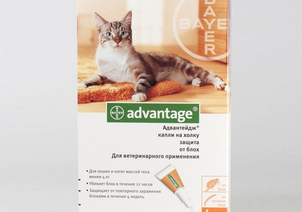 Advantage | капли адвантейдж для кошек и собак | имидаклоприд инструкция, применение