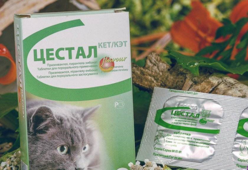 Цестал кэт / cestal cat (таблетки) для кошек | отзывы о применении препаратов для животных от ветеринаров и заводчиков
