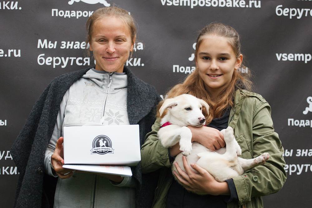 Выставка приютских собак, которых хотят "домой!".. обсуждение на liveinternet