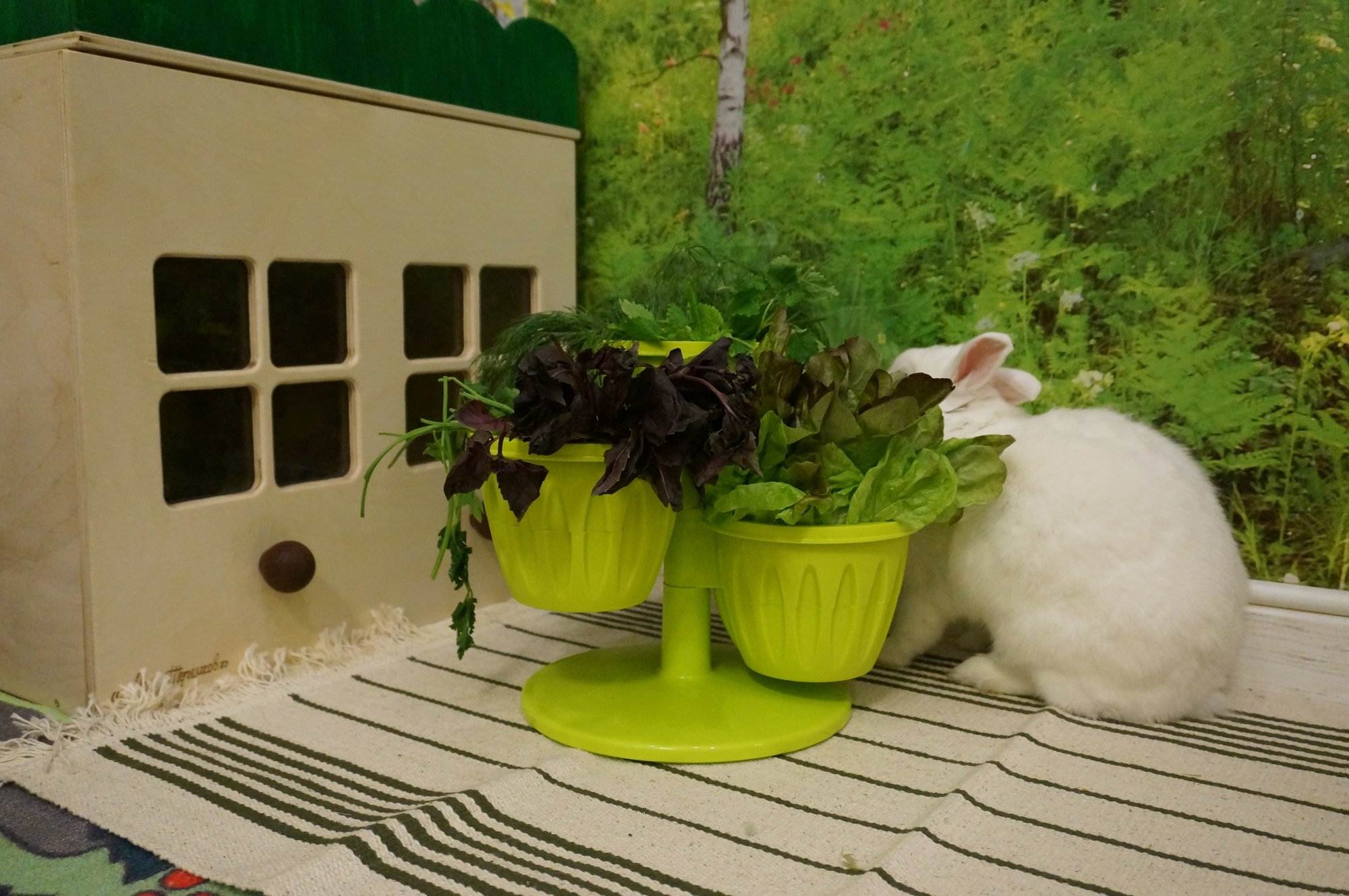 ᐉ домик для кролика своими руками - zooon.ru