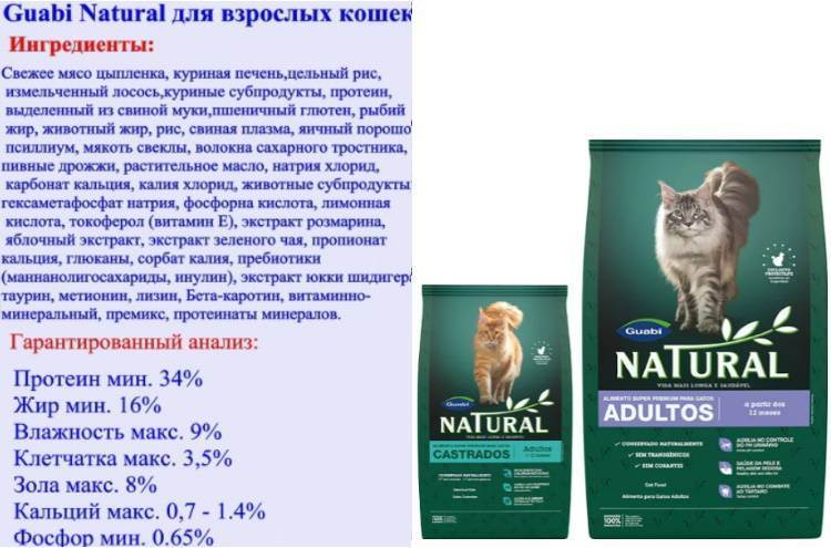 Корм для кошек «гоу» (go natural holistic): отзывы ветеринаров и владельцев животных о нем, его состав и виды, плюсы и минусы