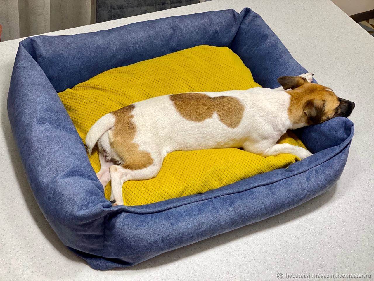 Лежанка для собаки своими руками: 110 фото и видео как сшить из поролона и мягкой ткани лежанку