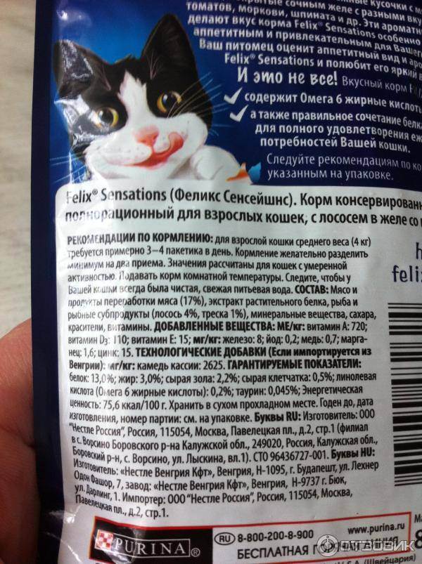 Корм для кошек «брит» (brit care и premium): отзывы ветеринаров о чешской марке для котят и взрослых питомцев, её состав и виды