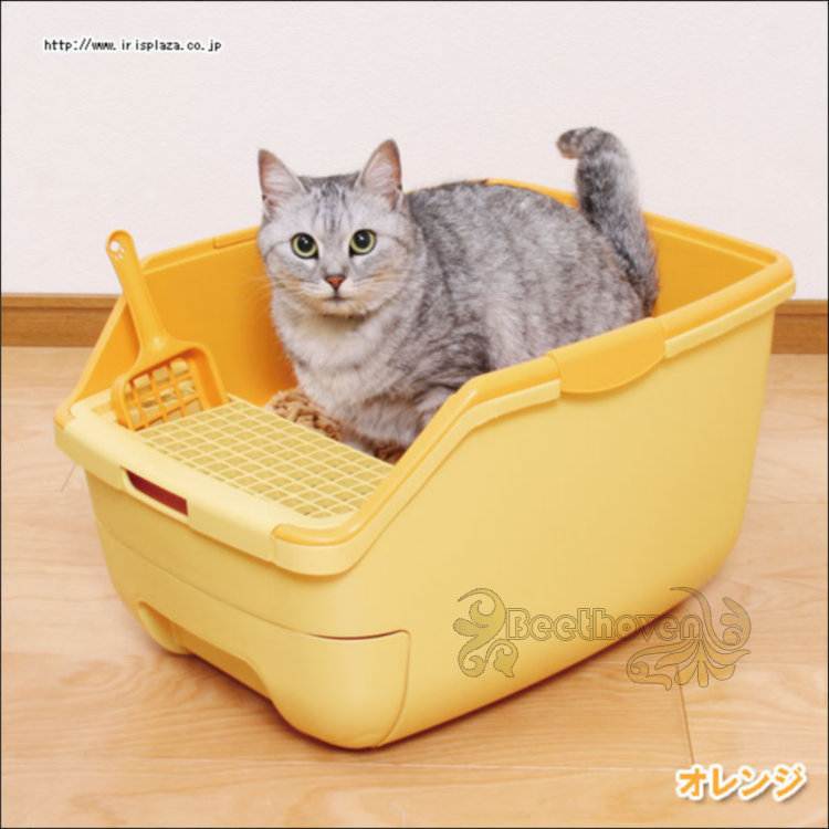 Наполнителей для кошачьего туалета: виды, состав, плюсы и минусы, обзор производителей