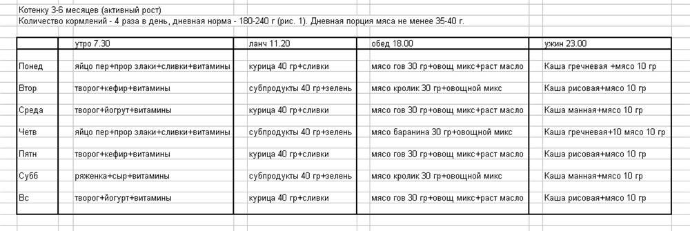 Чем кормить котенка в 2 месяца - советы и рецепты от хозяйки