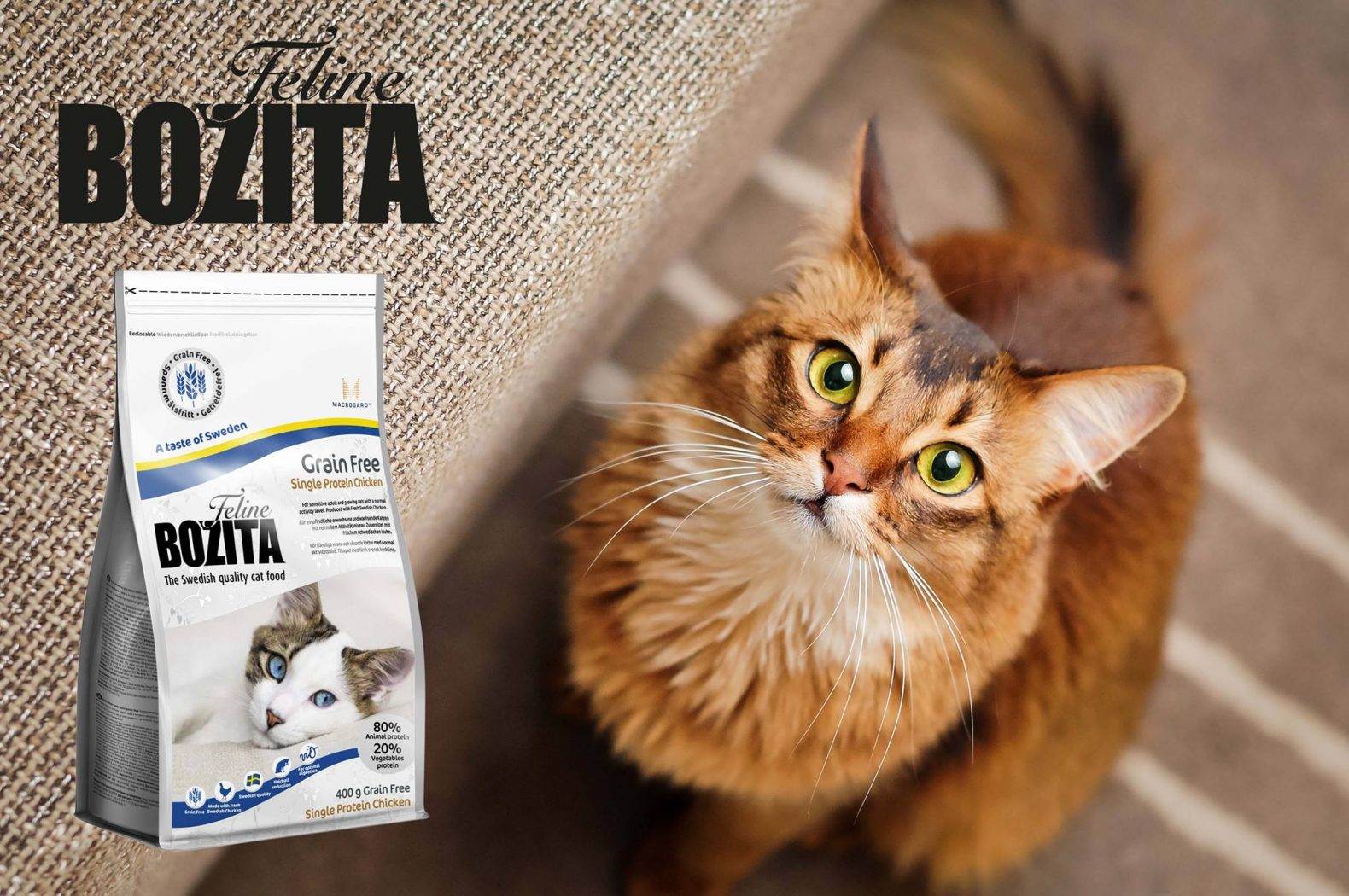 Сухие и влажные корма холистики для кошек – список марок представленных в россии.