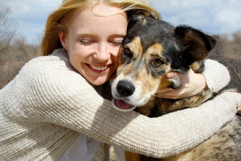 10 признаков того, что собака вас любит | графоманим на двоих