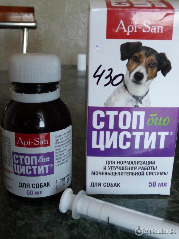 Стоп-цистит: суспензия и таблетки для лечения урогенитальных заболеваний кошек и собак