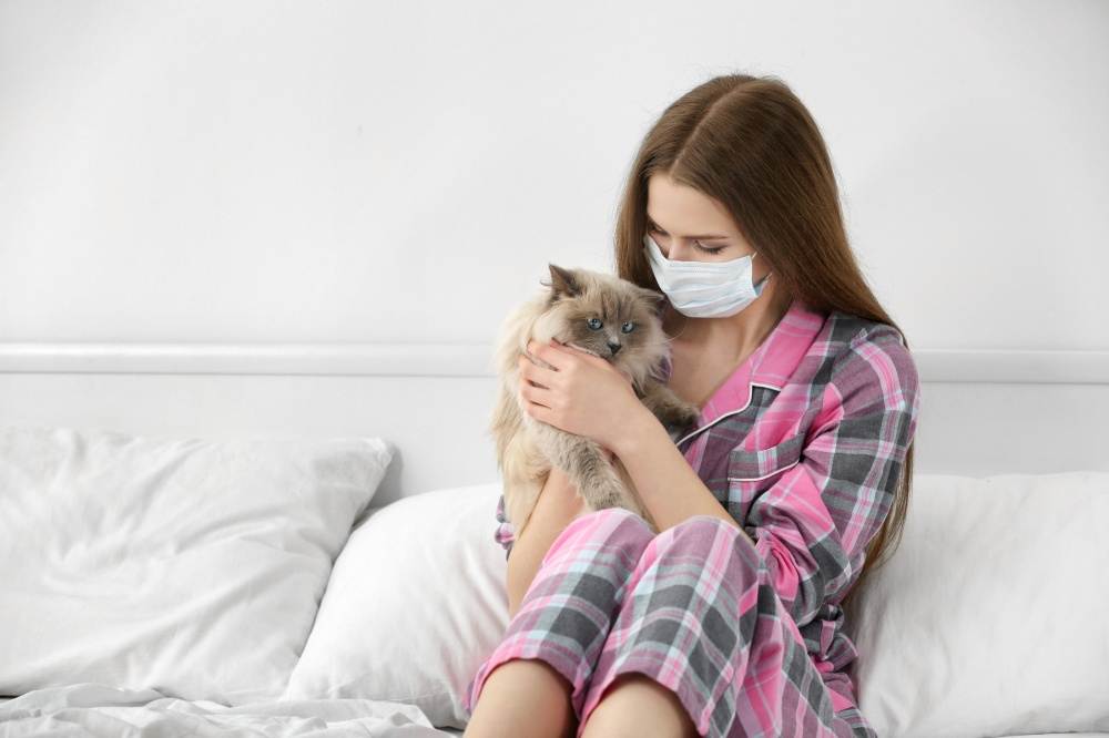 Аллергия у кошек: как проявляется, признаки и симптомы, непищевая и пищевая аллергия у кошек, возможные аллергены, лечение и советы врача