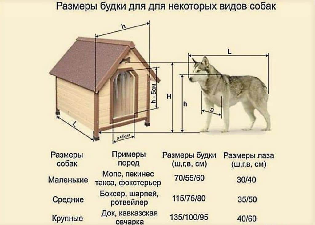 Будка для собаки своими руками: размеры, чертежи, выбор материалов, фото